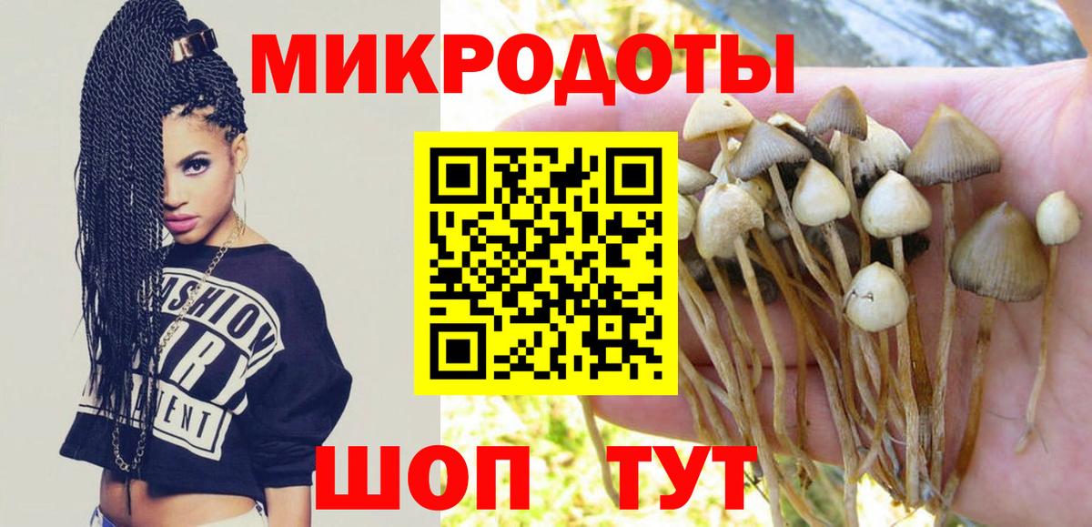 цены наркотик  Псилоцибиновые грибы GOLDEN TEACHER  Вход с VPN  Галлюциногенные грибы MAGIC MUSHROOMS  Обнинск 